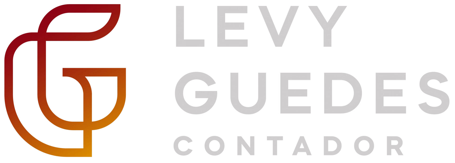 Levy Guedes Contador